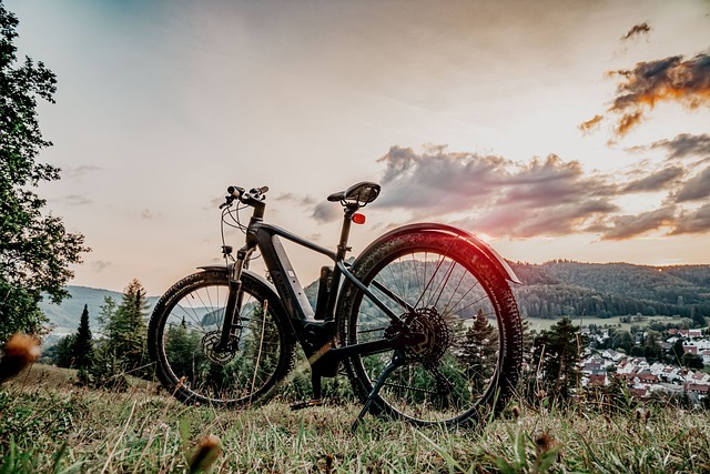 e-bike unter 1000 euro